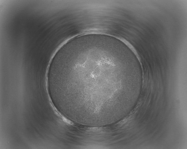 X0000072931341200608041206