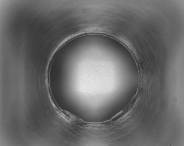 X0000072931342200608041206