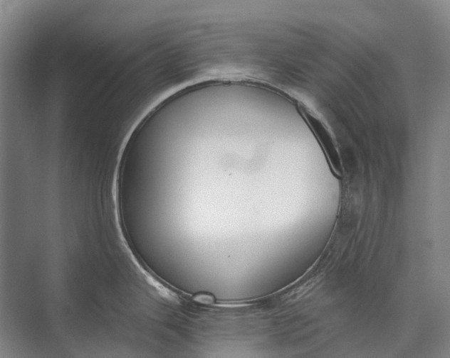 X0000072931343200608041206