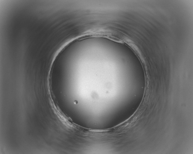 X0000072931344200608041206