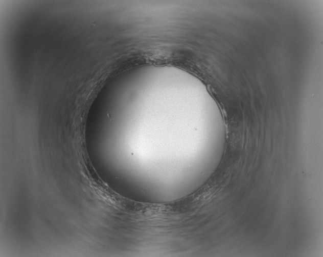 X0000072931345200608041205