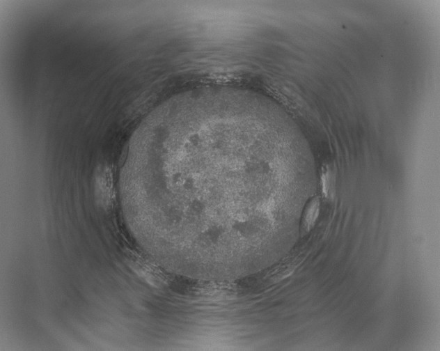 X0000072931347200608041205