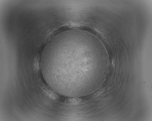 X0000072931348200608041205