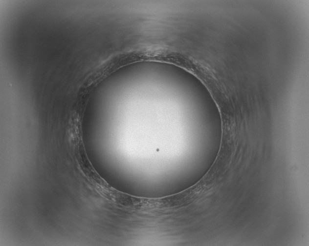 X0000072931349200608041205