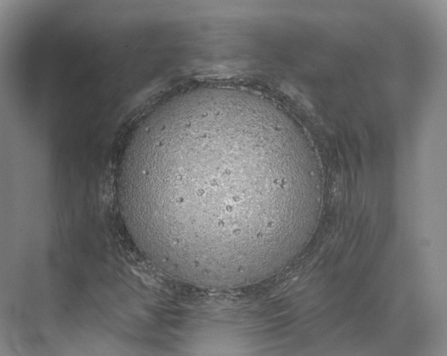 X0000072931350200608041205