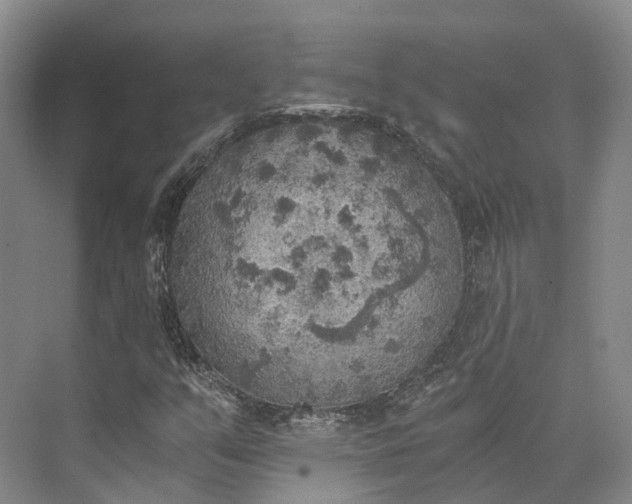 X0000072931351200608041205