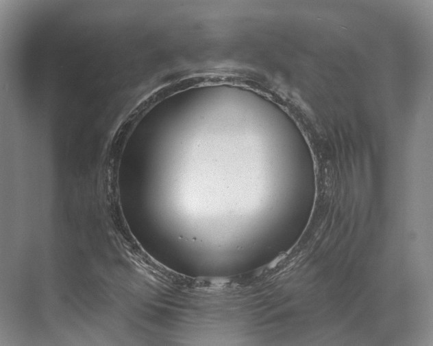 X0000072931352200608041205