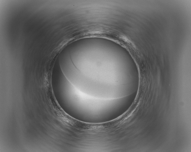 X0000072931353200608041205