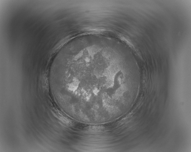 X0000072931354200608041205