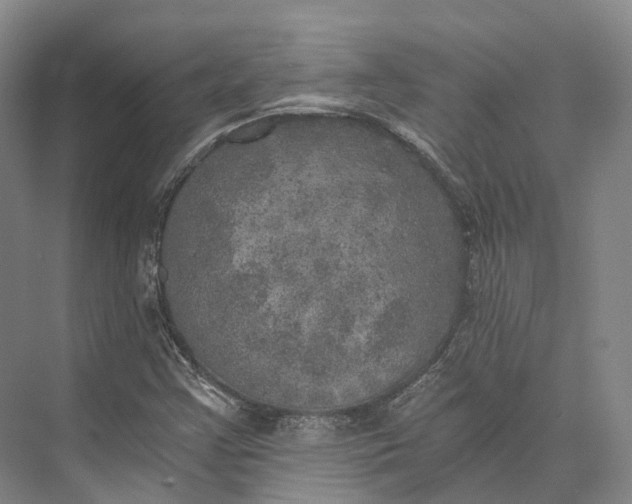 X0000072931355200608041205