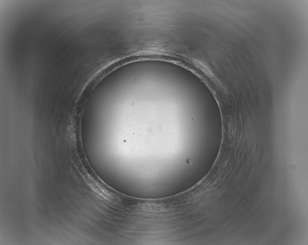 X0000072931356200608041205