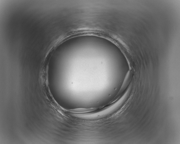 X0000072931357200608041205