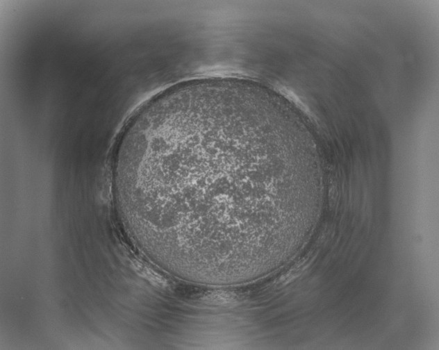 X0000072931358200608041205