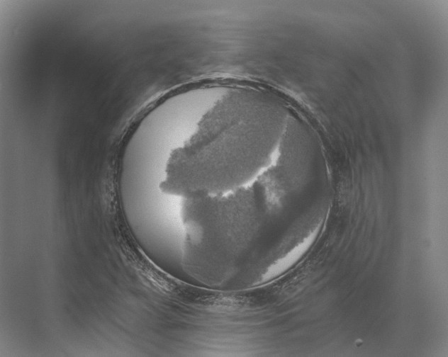 X0000072931359200608041205