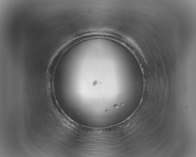 X0000072931360200608041205