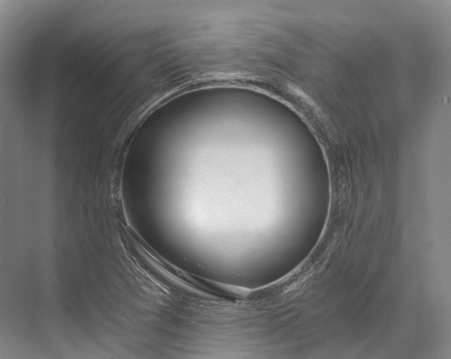 X0000072931361200608041205