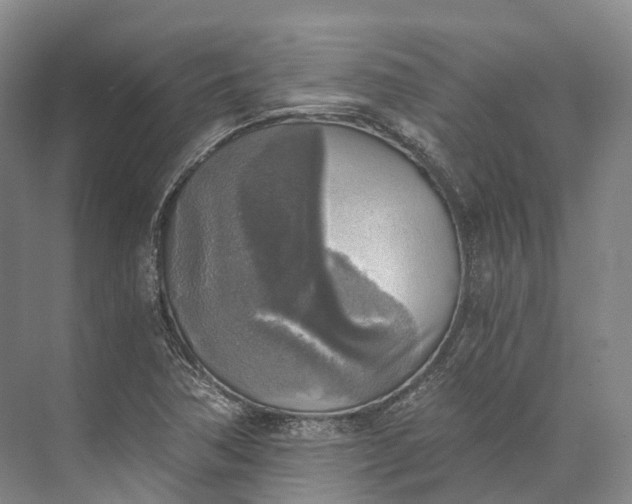 X0000072931362200608041205