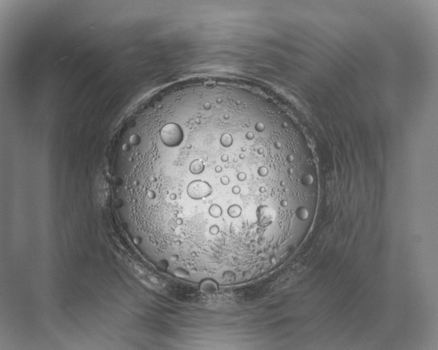 X0000072931363200608041205