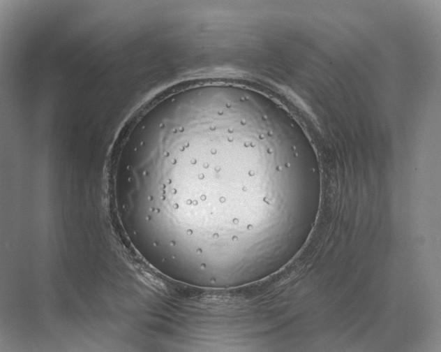 X0000072931364200608041205