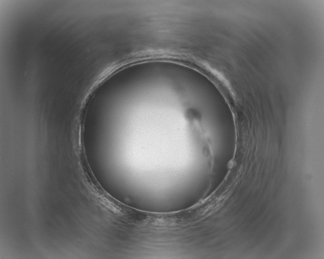 X0000072931365200608041205