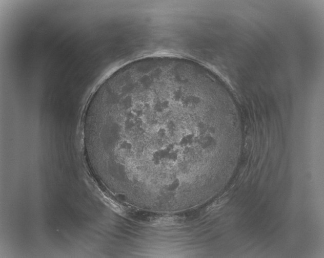 X0000072931367200608041205