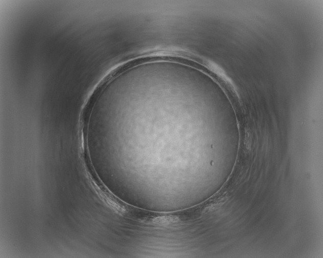 X0000072931368200608041205