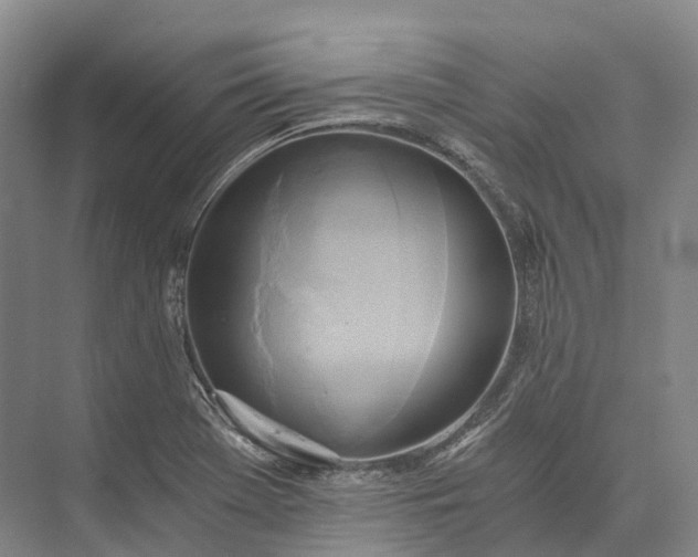 X0000072931369200608041205