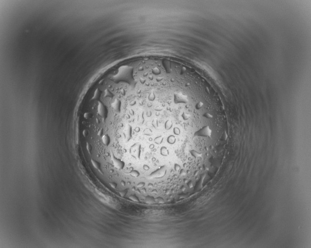 X0000072931371200608041205