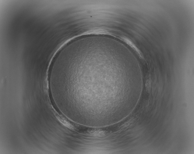 X0000072931372200608041205