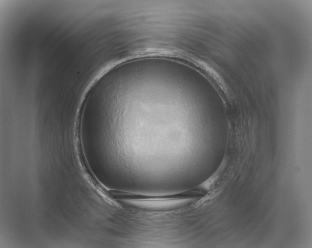 X0000072931373200608041205