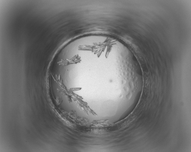 X0000072931375200608041205