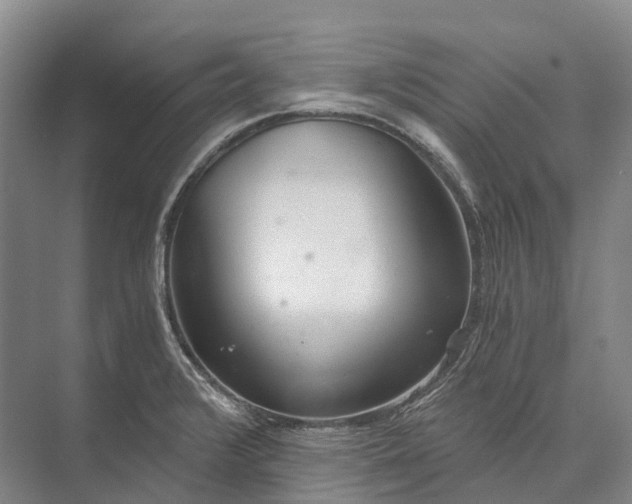 X0000072931376200608041205