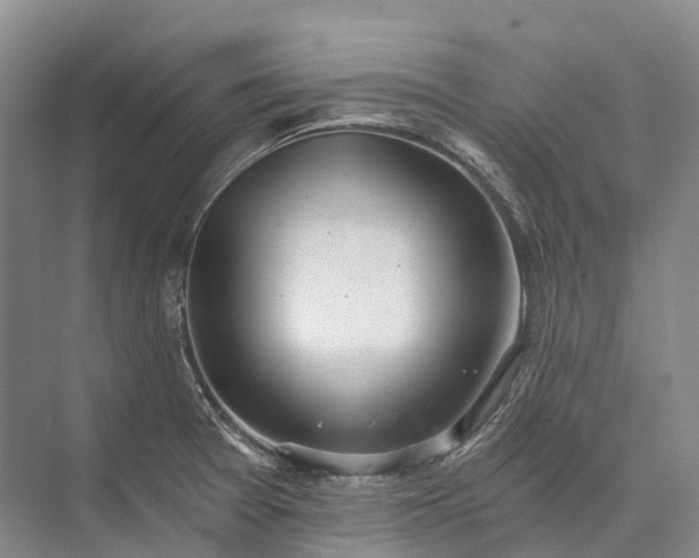 X0000072931377200608041205