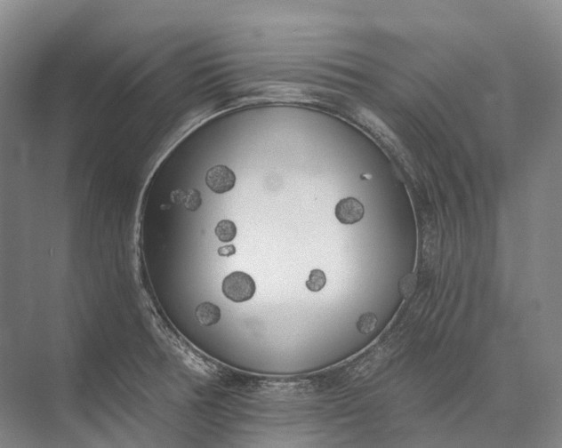 X0000072931378200608041205