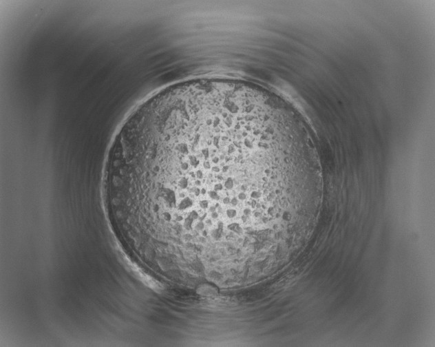 X0000072931379200608041205