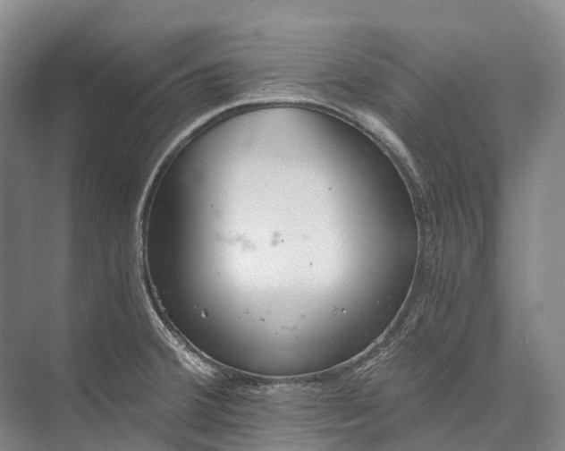 X0000072931380200608041205