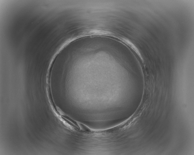 X0000072931381200608041205