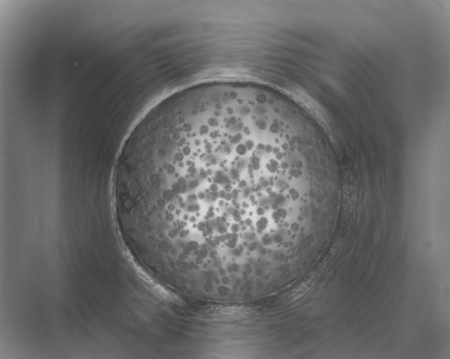 X0000072931382200608041205