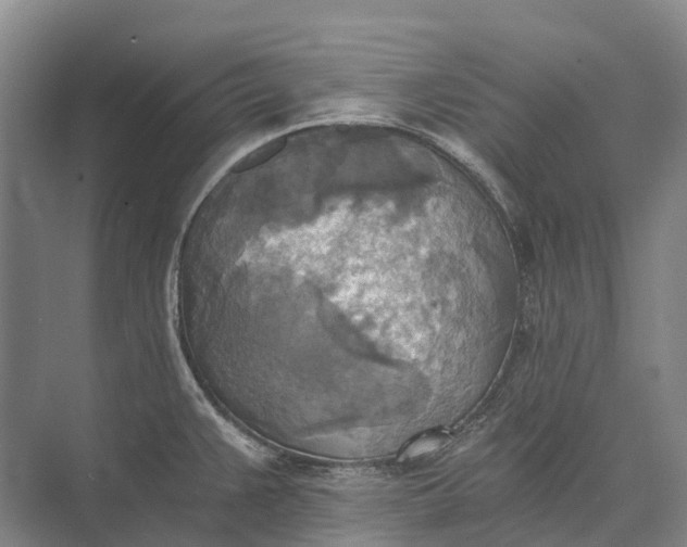 X0000072931383200608041205