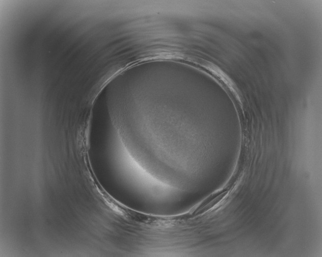 X0000072931385200608041205