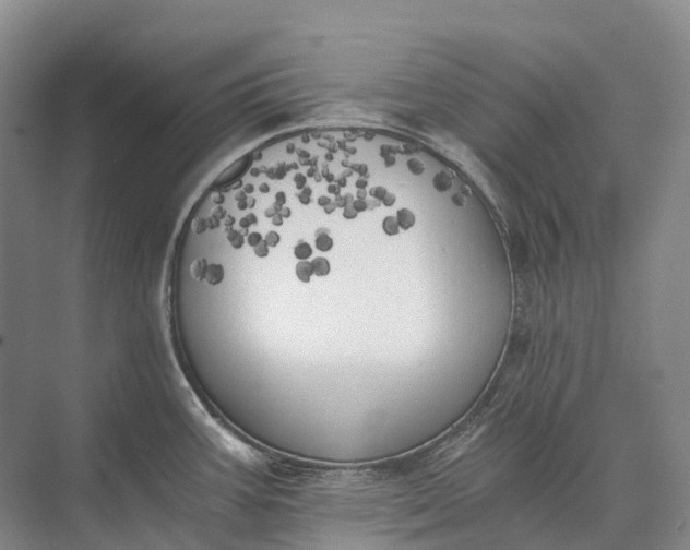 X0000072931387200608041204