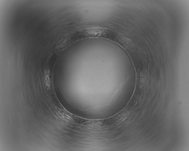 X0000072931394200608041204