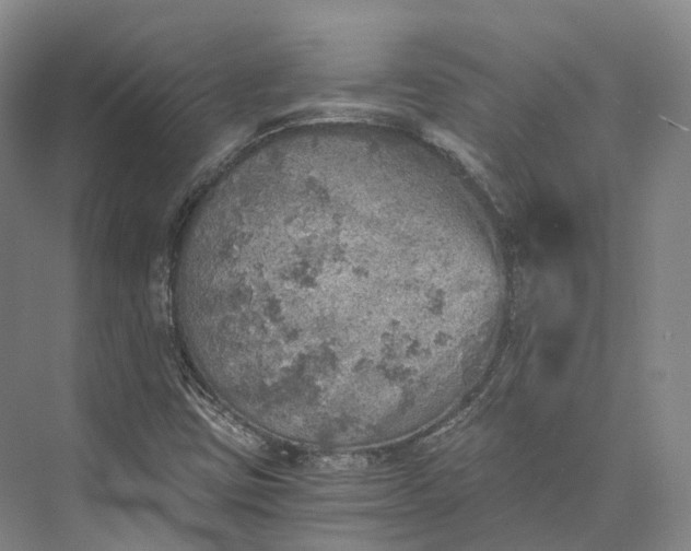 X0000072931403200608041204