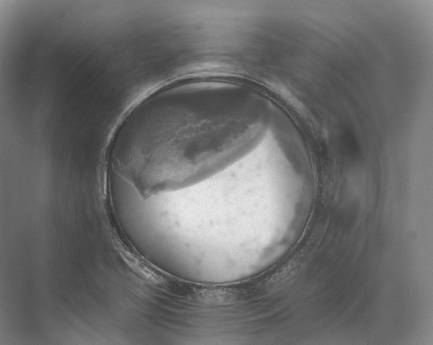 X0000072931413200608041204