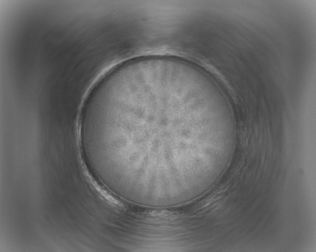 X0000072931416200608041204