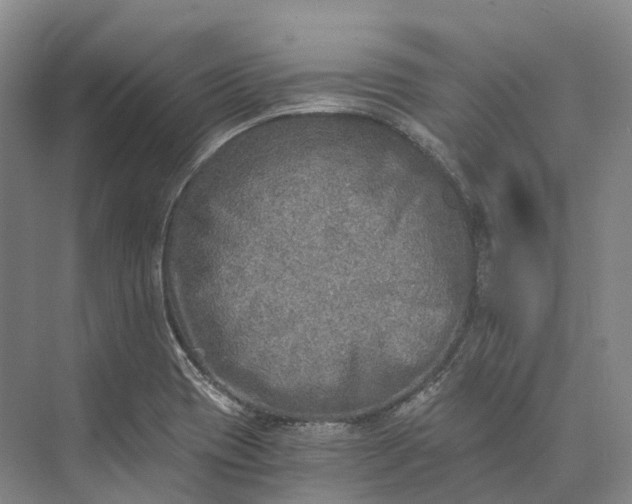 X0000072931417200608041204