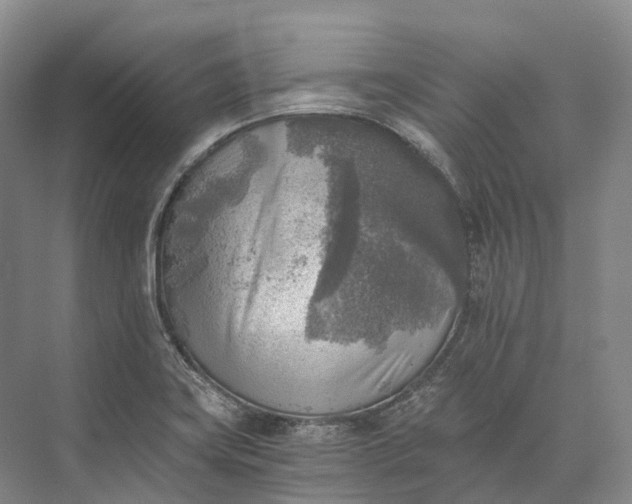 X0000072931419200608041204