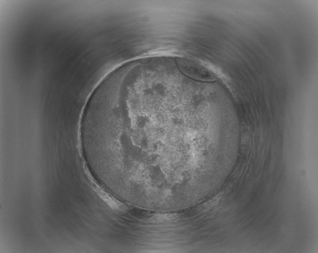 X0000072931423200608041204