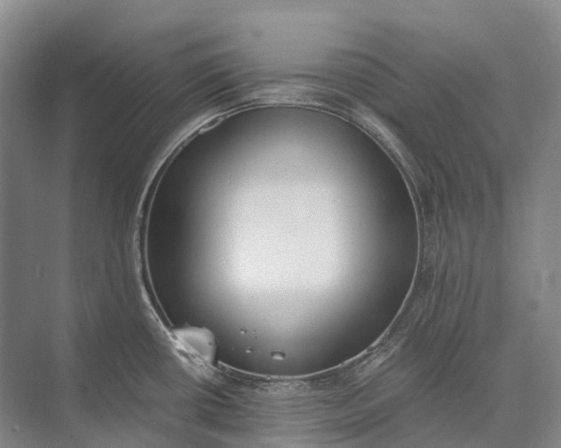 X0000072931434200608041204