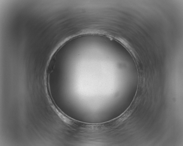 X0000072931438200608041204